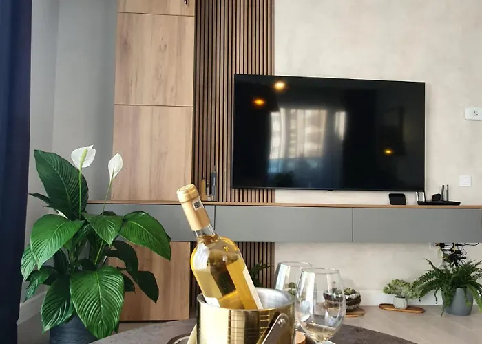 Apartment Tzuba Luxury Coresi Mall *